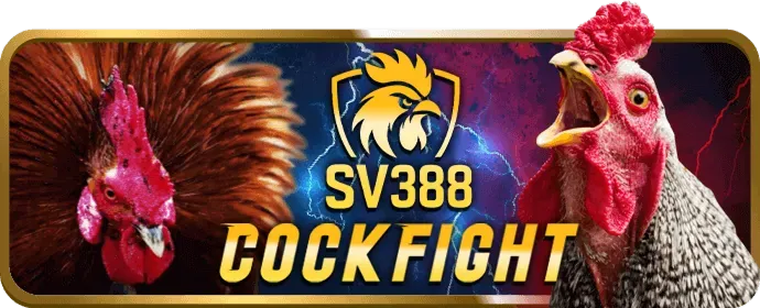Chương Trình VIP EV88 Login